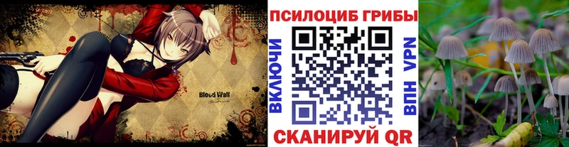 магазин продажи   Буйнакск  Псилоцибиновые грибы GOLDEN TEACHER 
